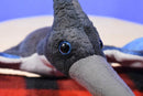 Adventure Planet Blue Pterodactyl Plush