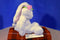 Gund Dahlia White Bunny Rabbit Beanbag Plush with Pink Flowers