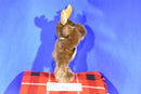 Mary Meyer Brown Moose 1992 Beanbag Plush