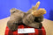 Aurora A&A Flopsies Mel the Brown Moose Beanbag Plush