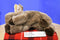 Aurora A&A Flopsies Mel the Brown Moose Beanbag Plush