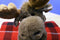 Aurora A&A Flopsies Mel the Brown Moose Beanbag Plush