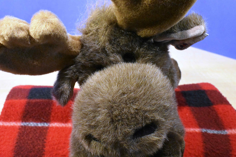 Aurora A&A Flopsies Mel the Brown Moose Beanbag Plush