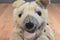 A&A Flopsies Konrad German Shepherd Beanbag Plush