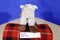 Cal Plush Beige and Brown Lamb Beanbag Plush
