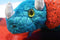 Ty Beanie Buddy 2001 and Baby 2000 Hornsly Green and Red Triceratops Beanbag Plush