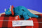 Ty Beanie Buddy 2001 and Baby 2000 Hornsly Green and Red Triceratops Beanbag Plush