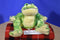 Ganz Webkinz Green Tie Dye Frog HM162 Beanbag Plush (Sealed Code) B125