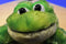 Ganz Webkinz Green Tie Dye Frog HM162 Beanbag Plush (Sealed Code) B125