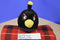 Commonwealth Rovio Angry Birds Talking Bomb the Loon 2010 Plush