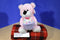 Kellytoy Pink Teddy Bear With Purple Cupcake Sprinkles 2016 Plush