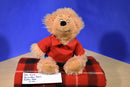 Berenstain Bears Brother Bear Beanbag Plush
