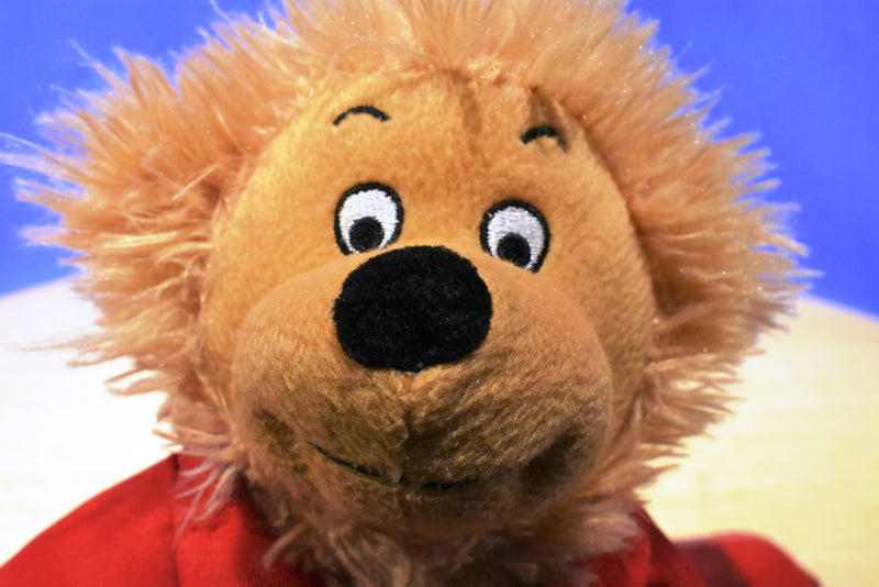 Berenstain Bears Brother Bear Beanbag Plush