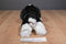 Aurora Flopsies King Charles Cavalier Spaniel 2017 Beanbag Plush