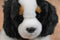 Aurora Flopsies King Charles Cavalier Spaniel 2017 Beanbag Plush