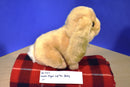 Aurora Miyoni Tan Lop Bunny Rabbit Plush