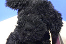 Galerie Cuddle Buddies Black Puppy Dog 2011 Plush