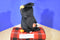 Ty Classic Fogs Black and Orange Owl 2008 Beanbag Plush