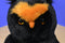 Ty Classic Fogs Black and Orange Owl 2008 Beanbag Plush