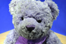 Build-A-Bear Purple Teddy Bear with Bow Talking Beanbag Plush