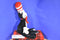Manhattan Toy Dr. Seuss Cat in the Hat 2002 Beanbag Plush