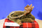 JAAG Brown Moose Plush Bag Purse