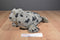 K & M Spotted Leopard Seal 2006 Beanbag Plush