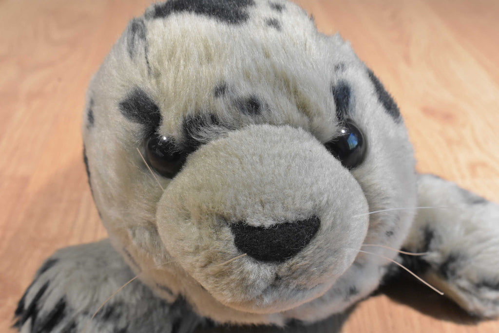 K & M Spotted Leopard Seal 2006 Beanbag Plush – Hurricane
