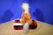 Ty Beanie Buddy Trotter Brown and White Horse Pony 2001 Beanbag Plush