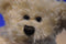 A&A Beige Teddy Bear Beanbag Plush
