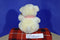 Ty Classic Caressa White Bear With Red Heart Feet 2005 Beanbag Plush