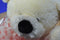 Ty Classic Caressa White Bear With Red Heart Feet 2005 Beanbag Plush