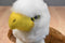 Steven Smith Bald Eagle Plush