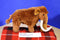 Douglas Everett Woolly Mammoth Beanbag Plush