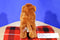 Douglas Everett Woolly Mammoth Beanbag Plush