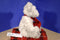 Boyd's Bears Winter Mintly Peppermint 2003 Beanbag Plush