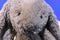 Jellycat Bashful Tan Bunny Rabbit Plush