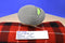 Commonwealth Rovio Angry Birds Talking Green Pig in Helmet 2010 Plush
