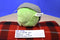 Commonwealth Rovio Angry Birds Talking Green Pig in Helmet 2010 Plush