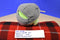 Commonwealth Rovio Angry Birds Talking Green Pig in Helmet 2010 Plush