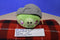Commonwealth Rovio Angry Birds Talking Green Pig in Helmet 2010 Plush