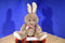 Kellytoy Brown and Pink Bunny Rabbit 2015 Plush