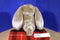 Walmart Brown and White Bunny Rabbit Plush
