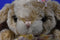 Walmart Brown and White Bunny Rabbit Plush