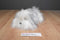 A&A Aurora Flopsies Shane Old English Sheepdog Beanbag Plush