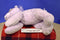 Chosun Cuddle Zone Purple Floppy Laying Bear with Bow 2001 Plush