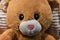 Wal-Mart Spark Create Imagine Brown Tan Bunny Rabbit Rattle Plush with Crinkle Ears