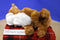 Animal Alley English Bulldog Brown White 2016 Beanbag Plush