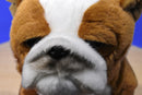 Animal Alley English Bulldog Brown White 2016 Beanbag Plush