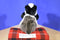 Kohl's Cares Gund Badger Beanbag Plush